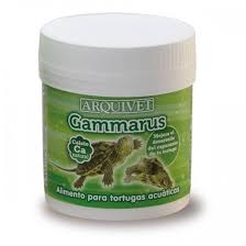 Gammarus Tortugas de Agua