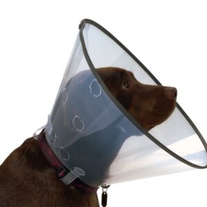 Collar Isabelino Buster Comfort