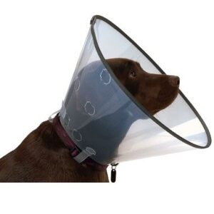 GEPORK Collar Isabelino Buster Comfort