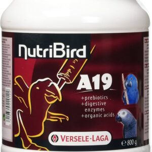 Nutribird A19 Papilla loros 800 g