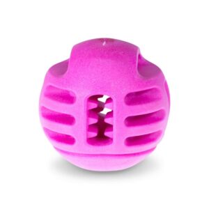 Juguete perro TPR pelota roja fresa