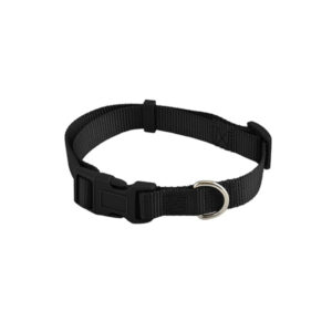 Collar básico