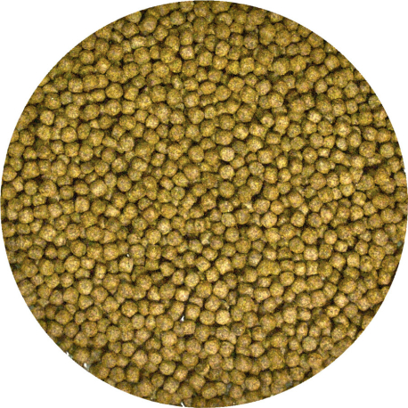 Pellet para tortuga acuática 52g
