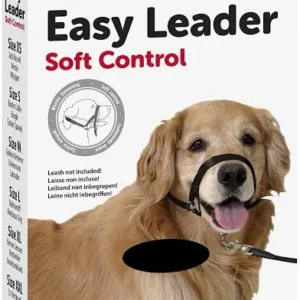 Easy leader negro