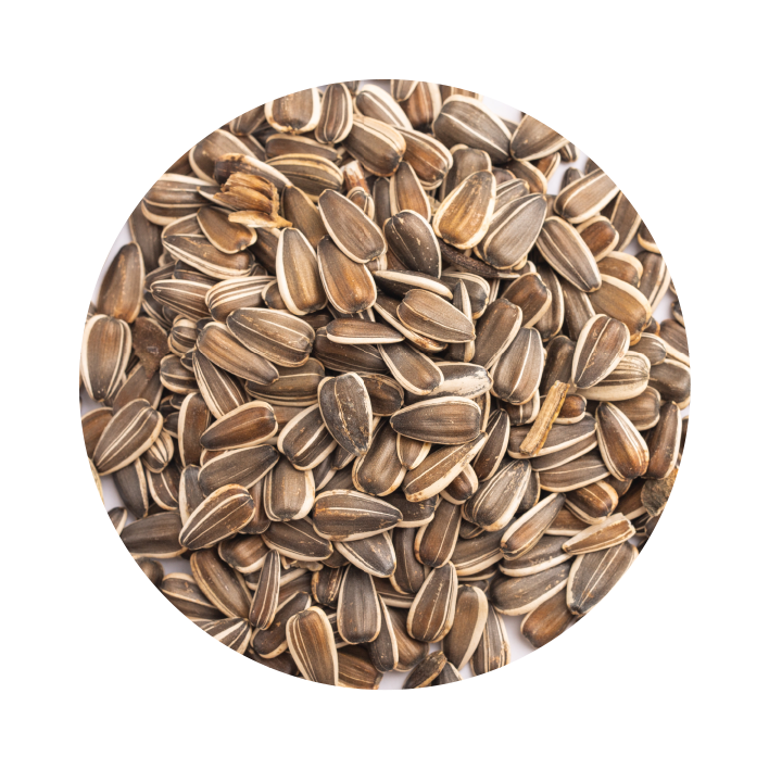 Semillas de girasol grado para aves - Imagen 2