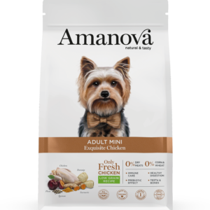 Amanova Adult Mini Exquisite Chicken