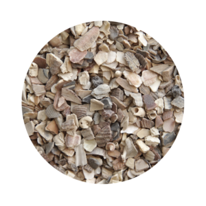 Casca de Ostra Grada Cálcio Natural