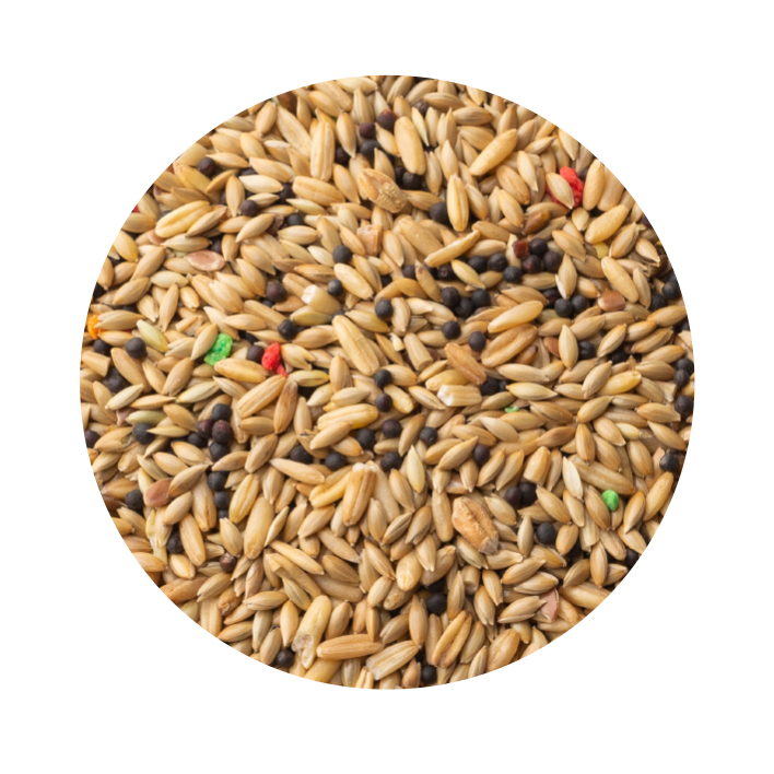 Comida para Canario Clásico - Imagen 2