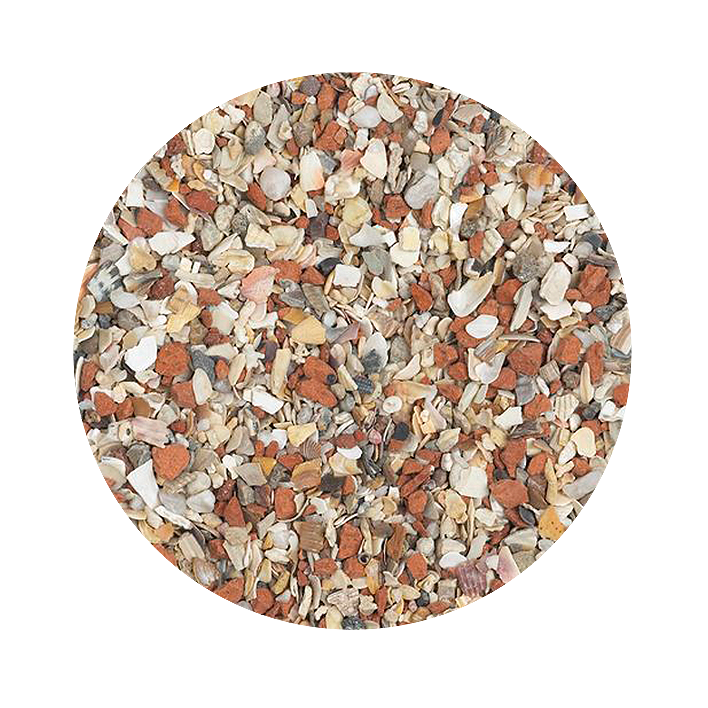 Grite para Palomas - Imagen 2