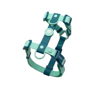 Arnés Waterproof para Perro Jade Mint
