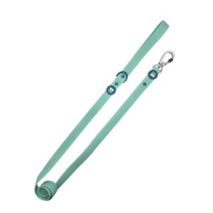 Correa Waterproof para Perro Jade Mint