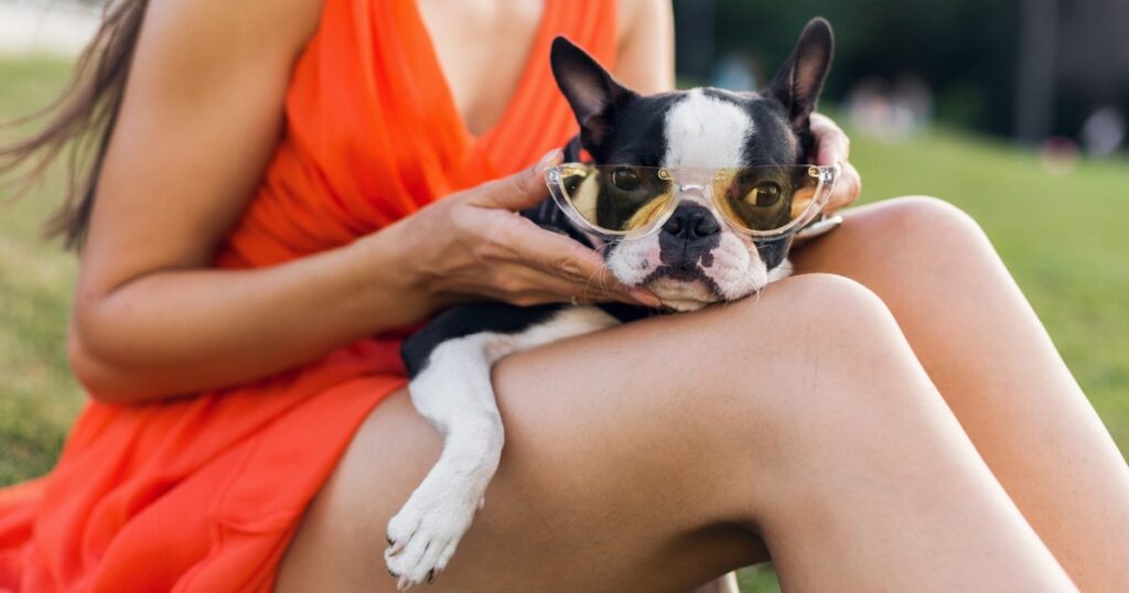 Los 5 mejores imprescindibles de Bestialis para proteger a tu mascota este verano