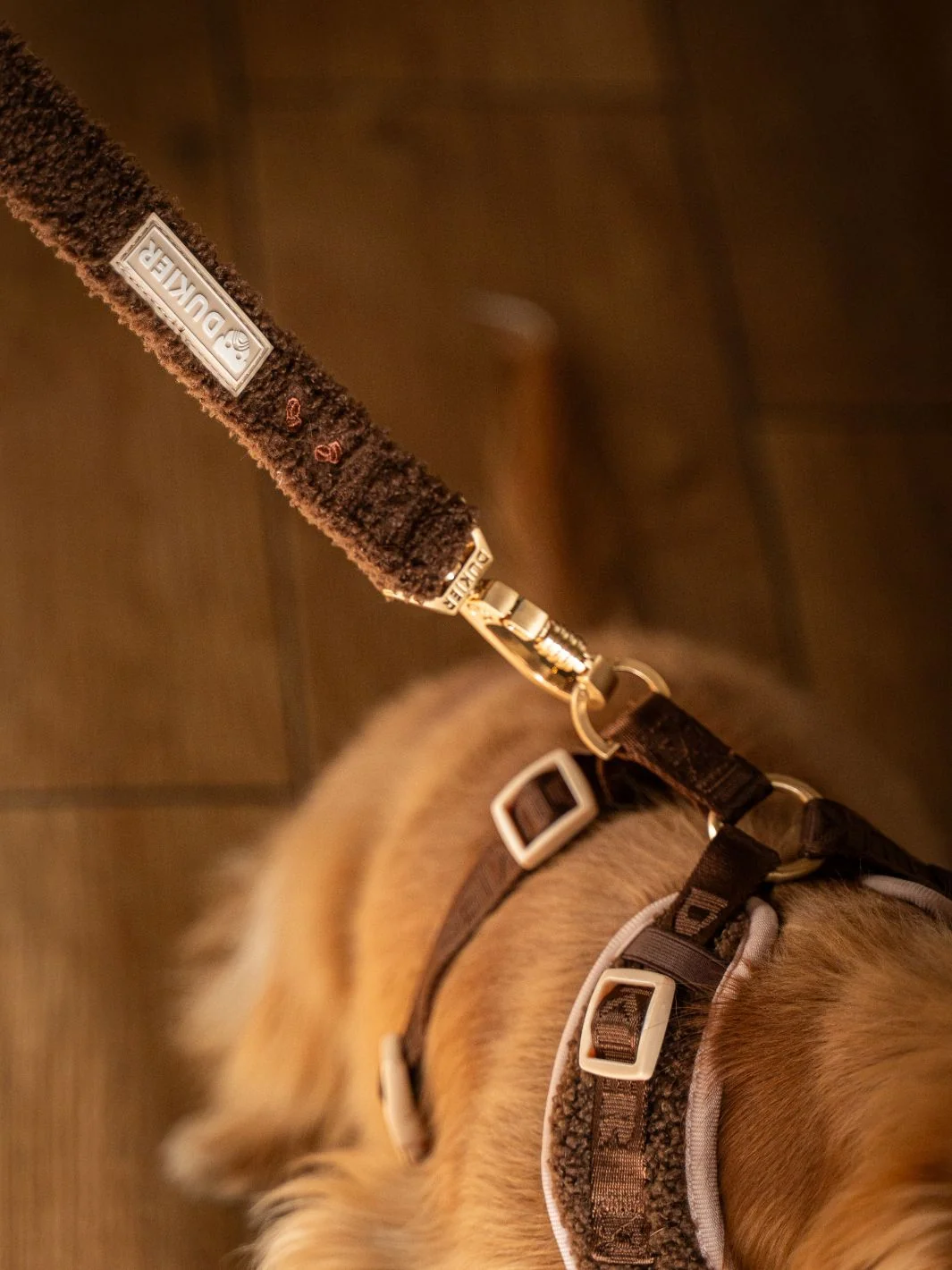 Correa para Perro LATTE TEDDY - Imagen 4