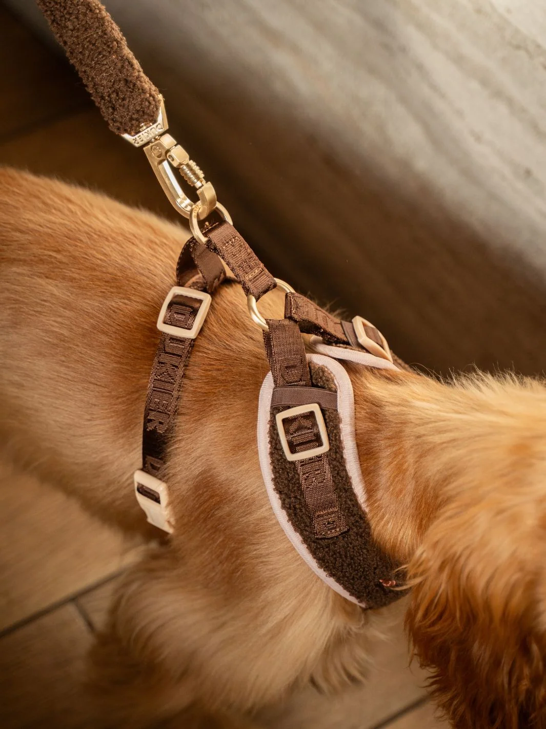 Arnés Ajustable para Perro LATTE TEDDY - Imagen 5