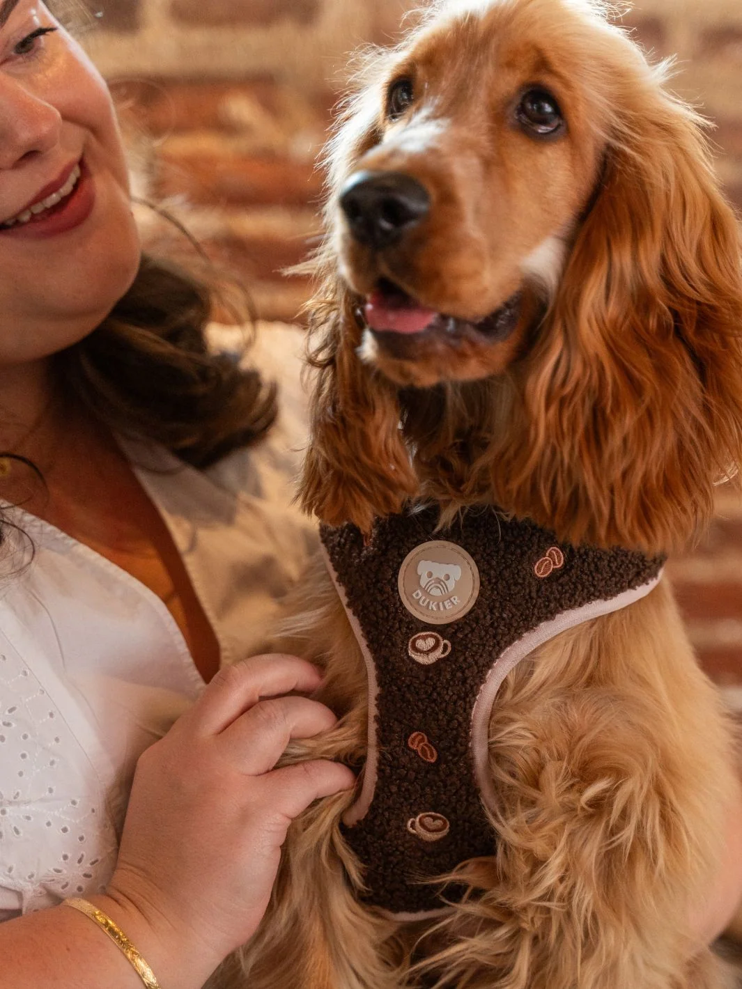 Arnés Ajustable para Perro LATTE TEDDY - Imagen 7