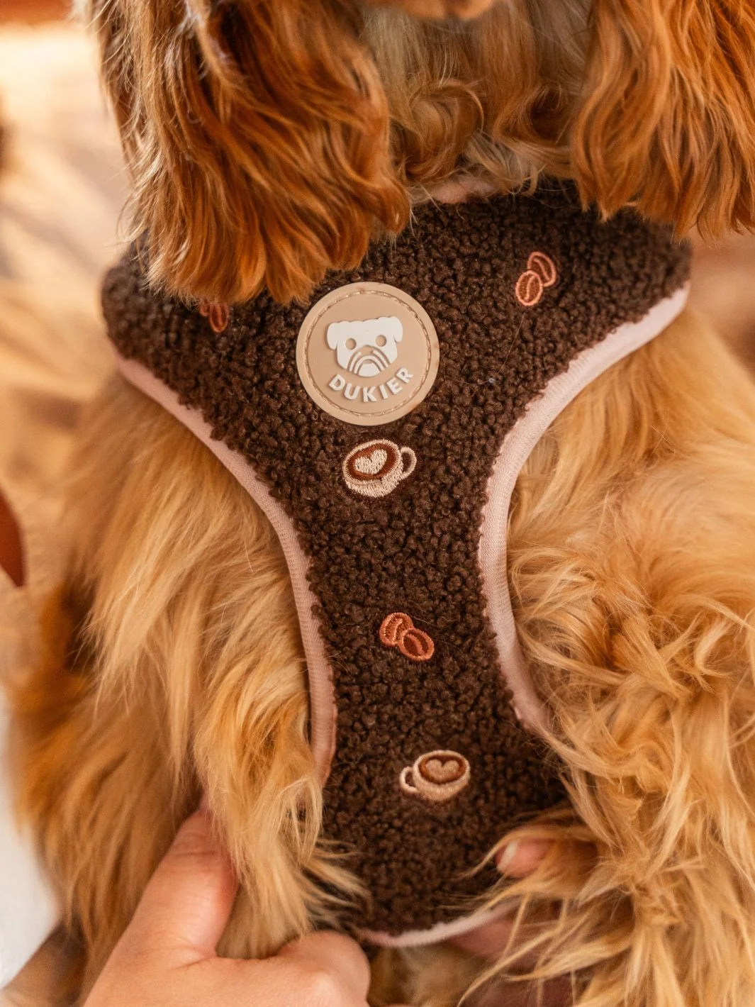 Arnés Ajustable para Perro LATTE TEDDY - Imagen 4