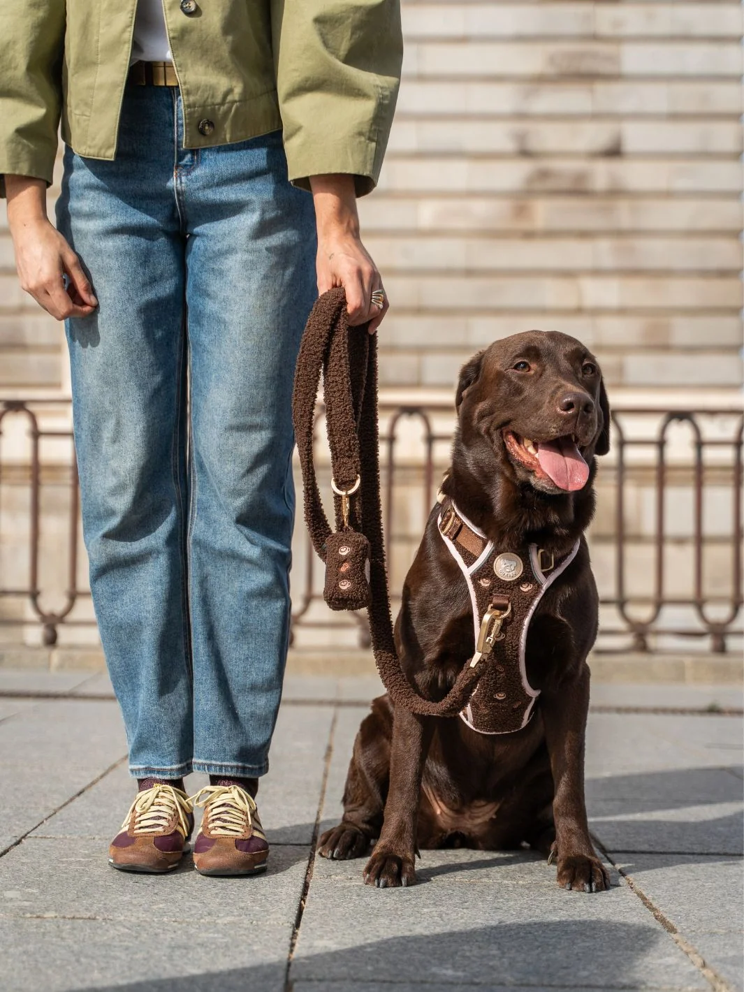 Correa para Perro LATTE TEDDY - Imagen 8