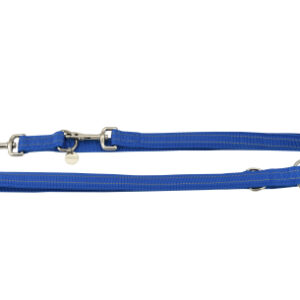 CORREA ADIESTRAMIENTO NYLON REFLECTANTE 25MMX200CM
