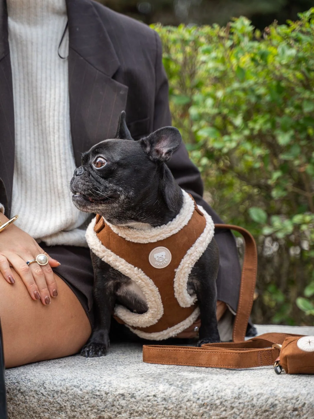 Arnés Ajustable para Perro SUEDE CAMEL - Imagen 4