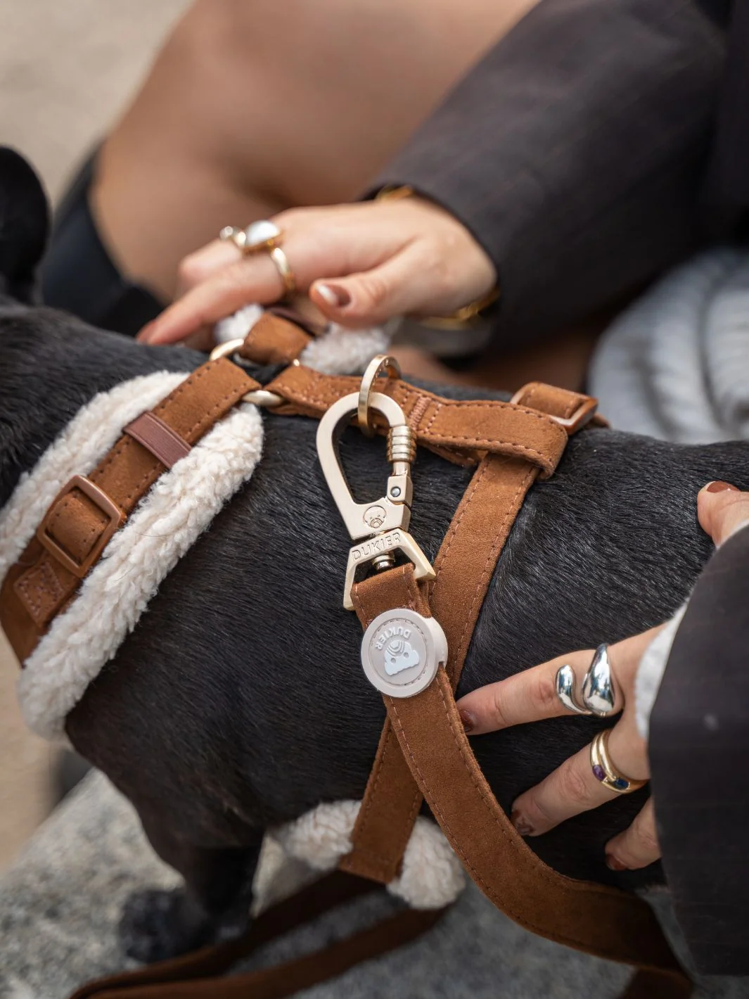 Arnés Ajustable para Perro SUEDE CAMEL - Imagen 5