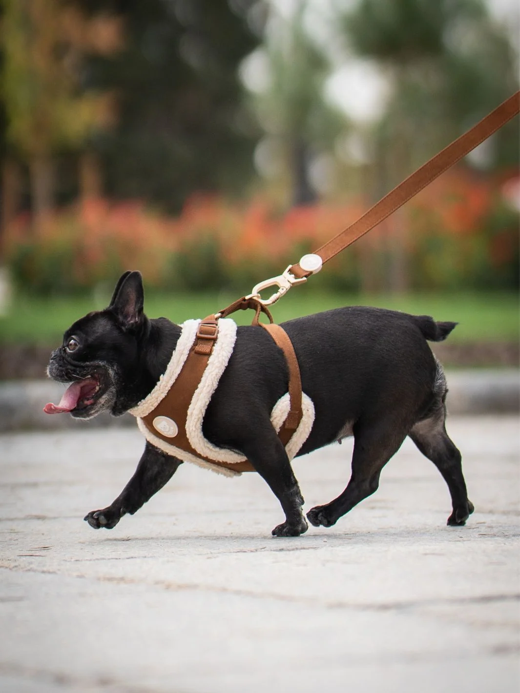 Correa para Perro SUEDE CAMEL - Imagen 4